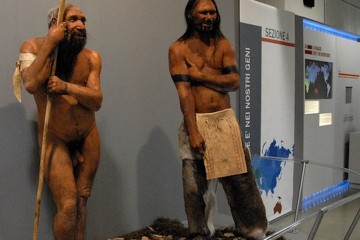 Neandertal y sapiens diferencias